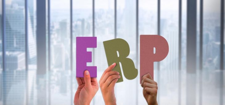 A Short Guide to Pick the Right ERP System for Your Business