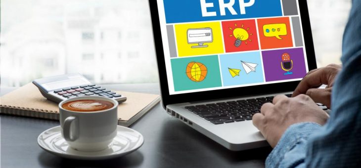 How ERP Systems Can Increase Your Business Revenue